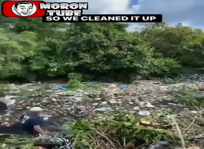 Video :In Bali, they clean a trash-filled mangrove